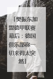 樊振东加盟德甲联赛幕后：德国俱乐部称一切来得太突然