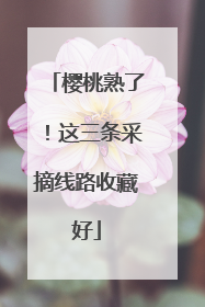 樱桃熟了！这三条采摘线路收藏好