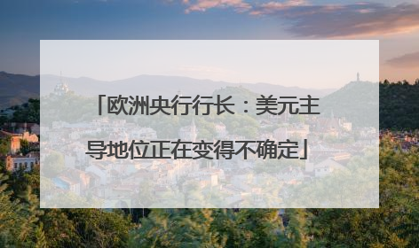 欧洲央行行长：美元主导地位正在变得不确定