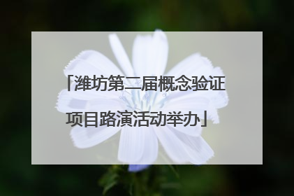 潍坊第二届概念验证项目路演活动举办