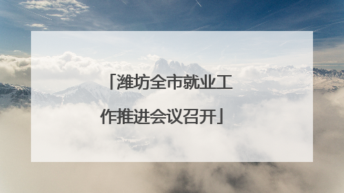 潍坊全市就业工作推进会议召开