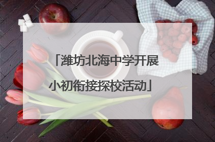 潍坊北海中学开展小初衔接探校活动