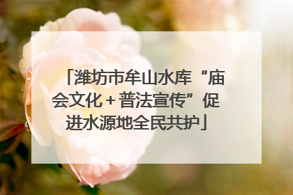 潍坊市牟山水库“庙会文化＋普法宣传”促进水源地全民共护