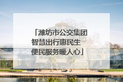 潍坊市公交集团智慧出行惠民生 便民服务暖人心