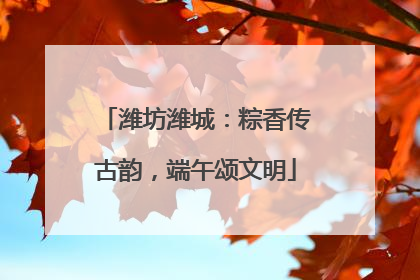 潍坊潍城：粽香传古韵，端午颂文明