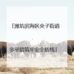 潍坊滨海区央子街道多举措筑牢安全防线