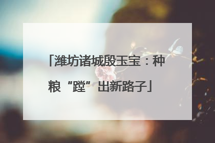 潍坊诸城殷玉宝：种粮“蹚”出新路子