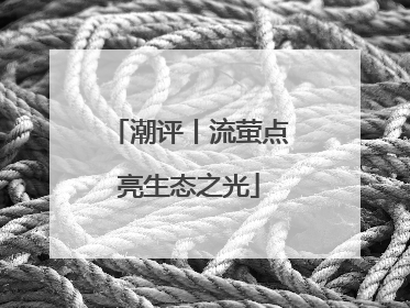 潮评丨流萤点亮生态之光