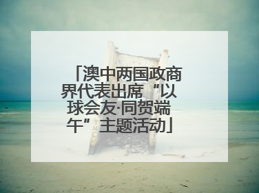 澳中两国政商界代表出席“以球会友·同贺端午”主题活动