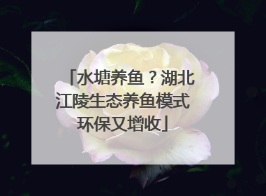 水塘养鱼？湖北江陵生态养鱼模式环保又增收