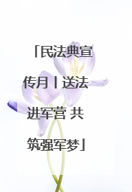 民法典宣传月丨送法进军营 共筑强军梦