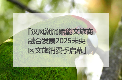 汉风潮涌赋能文旅商融合发展2025未央区文旅消费季启幕