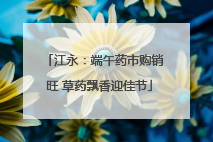 江永：端午药市购销旺 草药飘香迎佳节