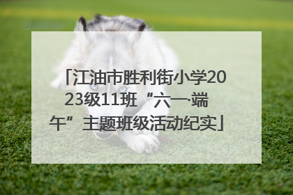 江油市胜利街小学2023级11班“六一·端午”主题班级活动纪实