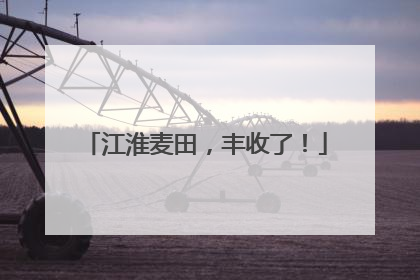 江淮麦田，丰收了！