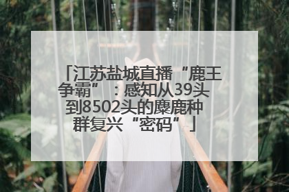 江苏盐城直播“鹿王争霸”：感知从39头到8502头的麋鹿种群复兴“密码”