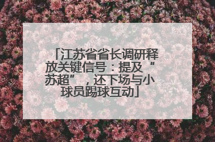 江苏省省长调研释放关键信号：提及“苏超”，还下场与小球员踢球互动