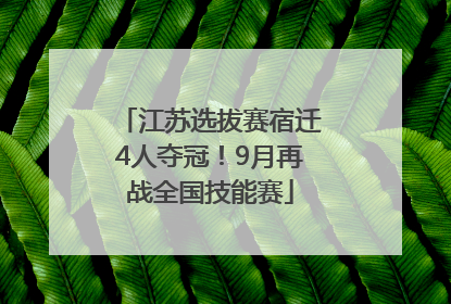 江苏选拔赛宿迁4人夺冠！9月再战全国技能赛