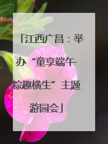 江西广昌：举办“童享端午·粽趣横生”主题游园会
