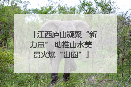 江西庐山凝聚“新力量” 助推山水美景火爆“出圈”