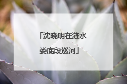 沈晓明在涟水娄底段巡河