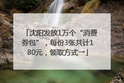 沈阳发放1万个“消费券包”，每份3张共计180元，领取方式→