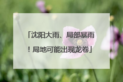 沈阳大雨、局部暴雨！局地可能出现龙卷