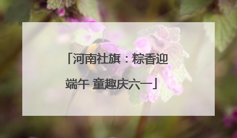 河南社旗：粽香迎端午 童趣庆六一