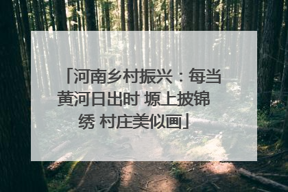 河南乡村振兴：每当黄河日出时 塬上披锦绣 村庄美似画