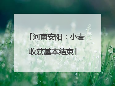 河南安阳：小麦收获基本结束