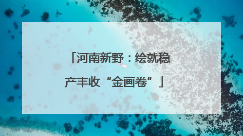 河南新野：绘就稳产丰收“金画卷”