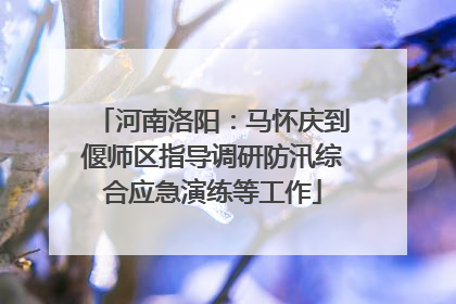 河南洛阳：马怀庆到偃师区指导调研防汛综合应急演练等工作