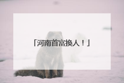 河南首富换人！