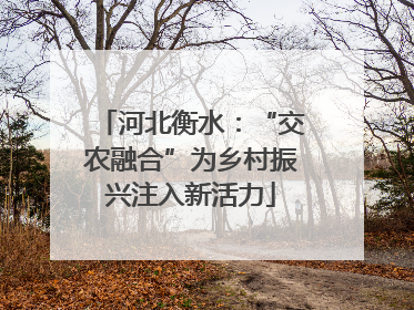 河北衡水：“交农融合”为乡村振兴注入新活力