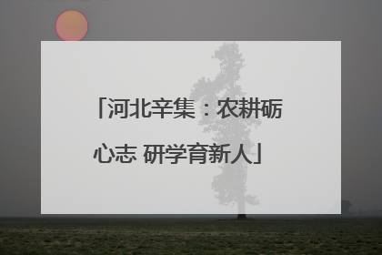 河北辛集：农耕砺心志 研学育新人