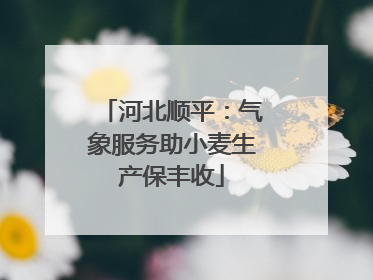 河北顺平：气象服务助小麦生产保丰收