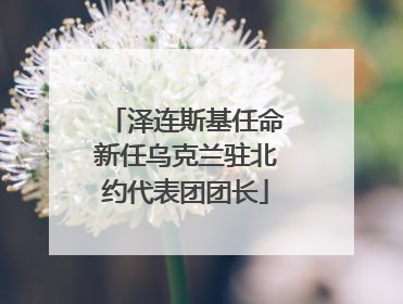 泽连斯基任命新任乌克兰驻北约代表团团长