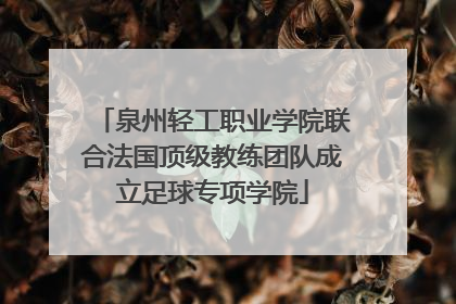 泉州轻工职业学院联合法国顶级教练团队成立足球专项学院