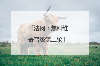 法网：焦科维奇晋级第二轮