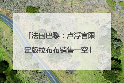 法国巴黎：卢浮宫限定版拉布布销售一空