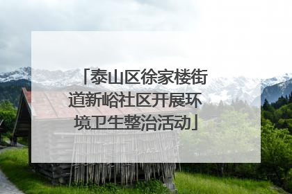 泰山区徐家楼街道新峪社区开展环境卫生整治活动