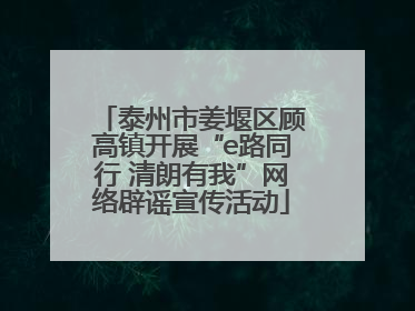 泰州市姜堰区顾高镇开展“e路同行 清朗有我”网络辟谣宣传活动
