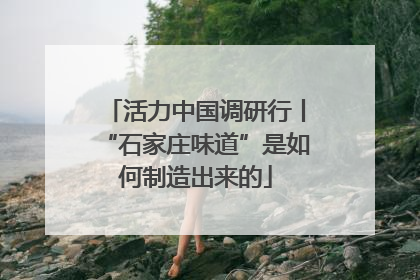 活力中国调研行丨“石家庄味道”是如何制造出来的