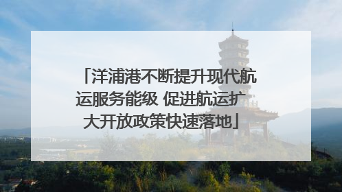 洋浦港不断提升现代航运服务能级 促进航运扩大开放政策快速落地