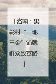 洛南：黑彰村“一地三金”铺就群众致富路
