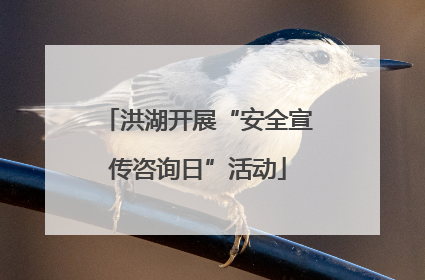 洪湖开展“安全宣传咨询日”活动