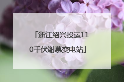 浙江绍兴投运110千伏谢慕变电站
