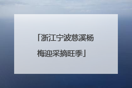 浙江宁波慈溪杨梅迎采摘旺季