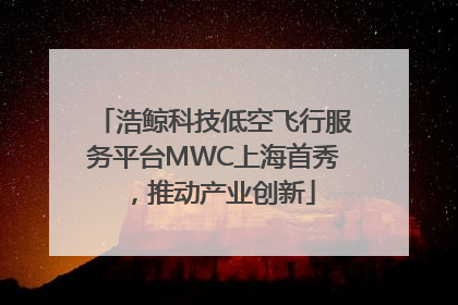 浩鲸科技低空飞行服务平台MWC上海首秀，推动产业创新