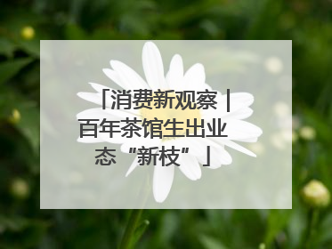 消费新观察｜百年茶馆生出业态“新枝”